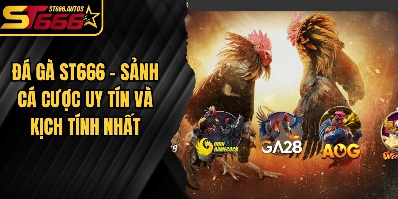 Đá Gà ST666