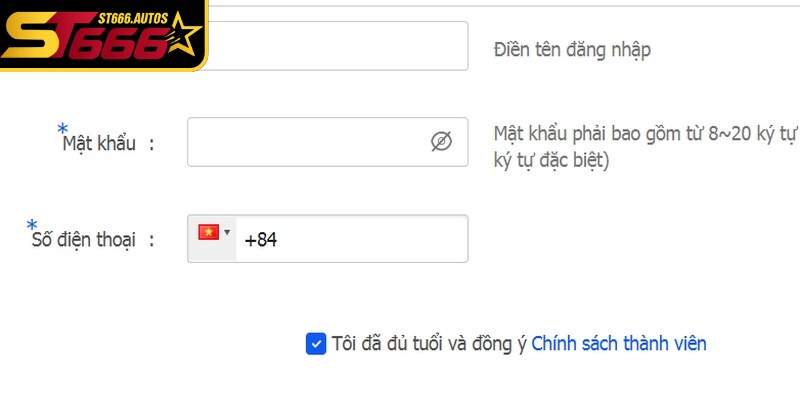 Đảm bảo đủ điều kiện cơ bản giúp quá trình đăng ký ST666 của bạn luôn hợp lệ