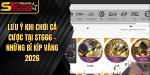 Lưu Ý Khi Chơi Cá Cược Tại ST666