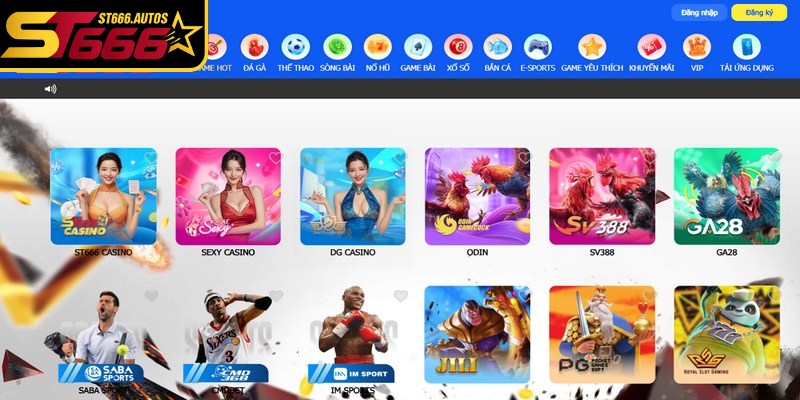 Tầm quan trọng khi biết lưu ý khi chơi cá cược tại ST666