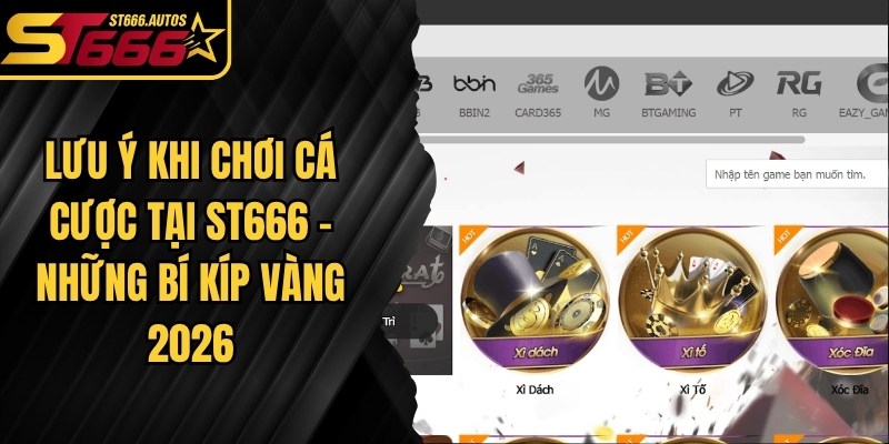 Lưu Ý Khi Chơi Cá Cược Tại ST666
