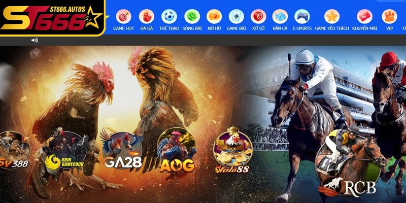 Hãy là người chơi thông thái để nhận diện đúng việc ST666 không lừa đảo